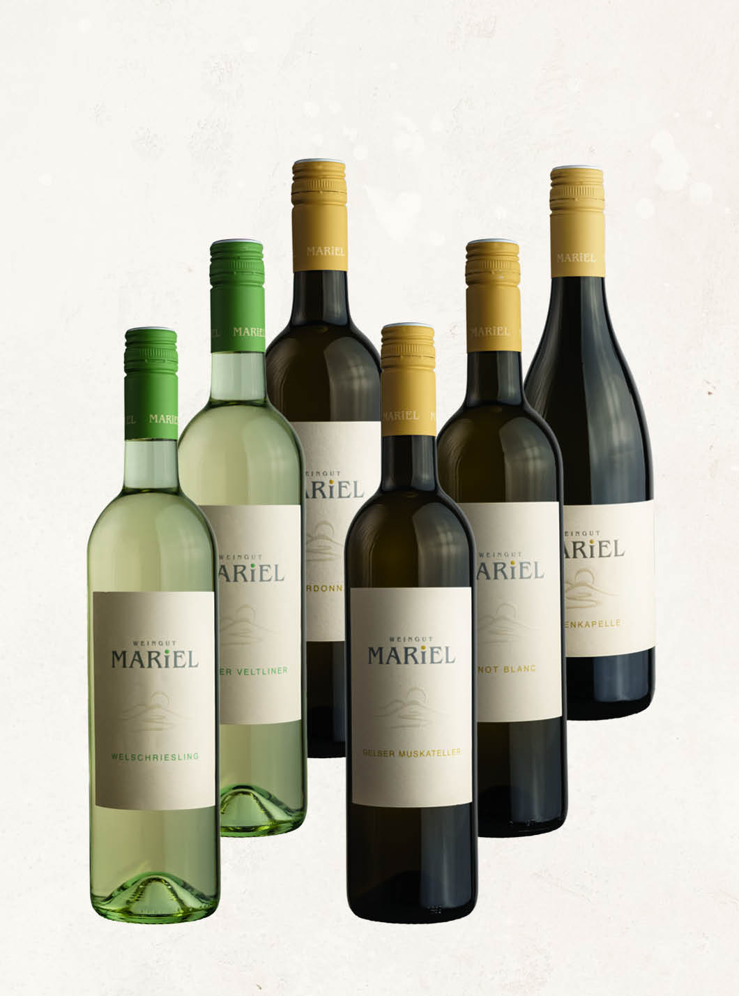 6er Weinpaket Weiß